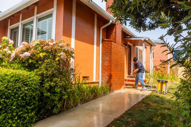 Best Roof Pressure Washing  in Twin Lakes, CO
